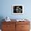 Head Keeper at Sydney's Koala Park Holds 'Kamara' and Her Two One Year-Old Babies-null-Framed Photographic Print displayed on a wall