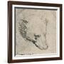 'Head of a Bear', c1480 (1945)-Leonardo Da Vinci-Framed Giclee Print