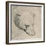 'Head of a Bear', c1480 (1945)-Leonardo Da Vinci-Framed Giclee Print