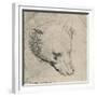 'Head of a Bear', c1480 (1945)-Leonardo Da Vinci-Framed Giclee Print