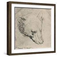 'Head of a Bear', c1480 (1945)-Leonardo Da Vinci-Framed Giclee Print