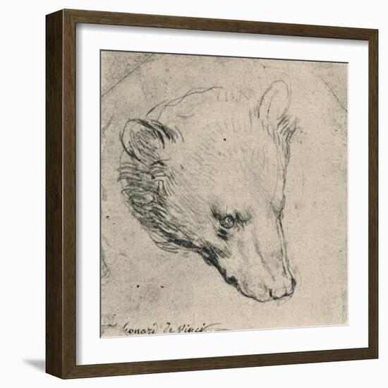 'Head of a Bear', c1480 (1945)-Leonardo Da Vinci-Framed Giclee Print