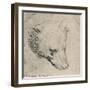 'Head of a Bear', c1480 (1945)-Leonardo Da Vinci-Framed Giclee Print