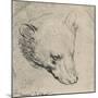 'Head of a Bear', c1480 (1945)-Leonardo Da Vinci-Mounted Giclee Print