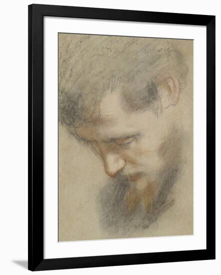 Head of a Bearded Man in Profile, Bent, Looking Down-Federico Barocci-Framed Giclee Print