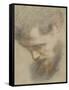 Head of a Bearded Man in Profile, Bent, Looking Down-Federico Barocci-Framed Stretched Canvas