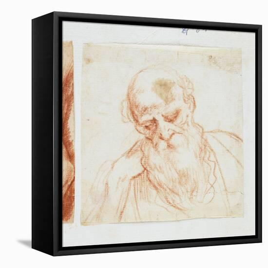 Head of a Bearded Man Looking Down-Giuseppe Cesari-Framed Stretched Canvas