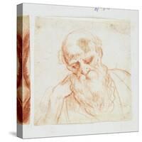 Head of a Bearded Man Looking Down-Giuseppe Cesari-Stretched Canvas