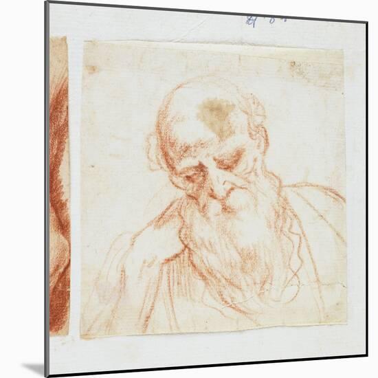 Head of a Bearded Man Looking Down-Giuseppe Cesari-Mounted Giclee Print