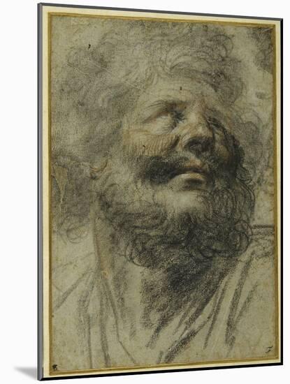 Head of a Bearded Man, Looking Up to the Right-Camillo Procaccini-Mounted Giclee Print