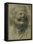 Head of a Bearded Man, Looking Up to the Right-Camillo Procaccini-Framed Stretched Canvas