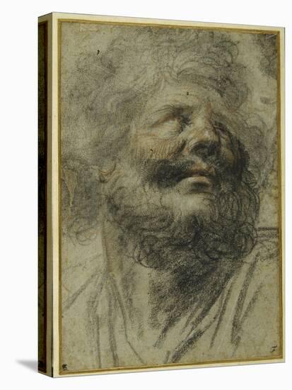 Head of a Bearded Man, Looking Up to the Right-Camillo Procaccini-Stretched Canvas