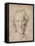 Head of a Bearded Old Man (Satur), 1516-Hans Baldung-Framed Stretched Canvas