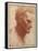 Head of a Beardless Man Looking Downward-Giovanni Agostino Da Lodi-Framed Stretched Canvas