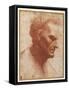 Head of a Beardless Man Looking Downward-Giovanni Agostino Da Lodi-Framed Stretched Canvas