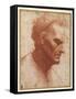 Head of a Beardless Man Looking Downward-Giovanni Agostino Da Lodi-Framed Stretched Canvas