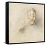 Head of a Boy in Profile (Black & Red Chalk on Stained Off-White Paper)-Jean Antoine Watteau-Framed Stretched Canvas