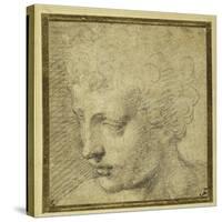 Head of a Boy, Nearly in Profile to the Left-Parmigianino-Stretched Canvas