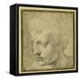 Head of a Boy, Nearly in Profile to the Left-Parmigianino-Framed Stretched Canvas