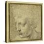 Head of a Boy, Nearly in Profile to the Left-Parmigianino-Stretched Canvas