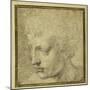 Head of a Boy, Nearly in Profile to the Left-Parmigianino-Mounted Giclee Print