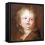 Head of a Boy (Oil on Canvas)-Anthony Van Dyck-Framed Stretched Canvas