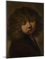 Head of a Boy-Rembrandt van Rijn-Mounted Art Print