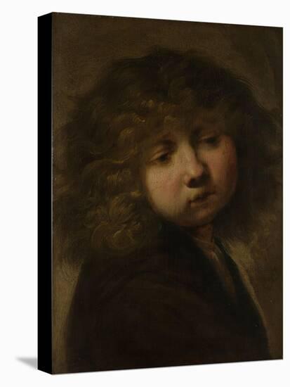 Head of a Boy-Rembrandt van Rijn-Stretched Canvas