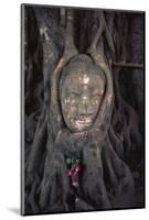 Head of a Buddha Statue Nestled in the Roots of a Tree in the Grounds of an Ayutthaya Temple-Paul Dymond-Mounted Photographic Print