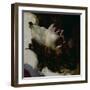 Head of a Dead Young Man, Before 1819-Théodore Géricault-Framed Giclee Print