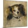 Head of a Dog, 1870 (Oil on Canvas)-Pierre Auguste Renoir-Mounted Giclee Print