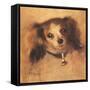 Head of a Dog, 1870-Pierre-Auguste Renoir-Framed Stretched Canvas