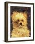 Head of a Dog - "Bob", 1876-Edouard Manet-Framed Premium Giclee Print