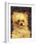 Head of a Dog - "Bob", 1876-Edouard Manet-Framed Premium Giclee Print