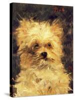 Head of a Dog - "Bob", 1876-Edouard Manet-Stretched Canvas