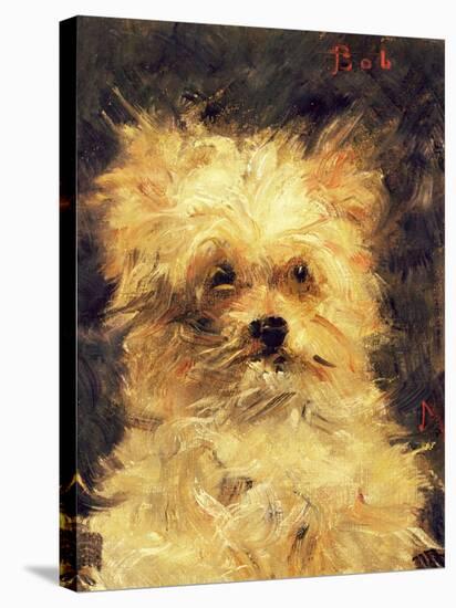 Head of a Dog - "Bob", 1876-Edouard Manet-Stretched Canvas