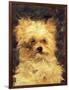 Head of a Dog - "Bob", 1876-Edouard Manet-Framed Giclee Print