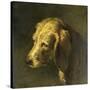 Head of a Dog, by Nicolas Toussaint Charlet, C. 1820-45-Nicolas Toussaint Charlet-Stretched Canvas