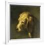 Head of a Dog, by Nicolas Toussaint Charlet, C. 1820-45-Nicolas Toussaint Charlet-Framed Art Print