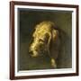 Head of a Dog, by Nicolas Toussaint Charlet, C. 1820-45-Nicolas Toussaint Charlet-Framed Art Print