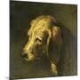 Head of a Dog, by Nicolas Toussaint Charlet, C. 1820-45-Nicolas Toussaint Charlet-Mounted Art Print