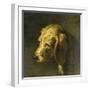 Head of a Dog, by Nicolas Toussaint Charlet, C. 1820-45-Nicolas Toussaint Charlet-Framed Art Print