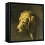 Head of a Dog, by Nicolas Toussaint Charlet, C. 1820-45-Nicolas Toussaint Charlet-Framed Stretched Canvas