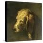 Head of a Dog, by Nicolas Toussaint Charlet, C. 1820-45-Nicolas Toussaint Charlet-Stretched Canvas