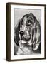 Head of a Dog Running, 1880-Henri de Toulouse-Lautrec-Framed Giclee Print