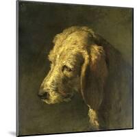 Head of a Dog-Nicolas Toussaint Charlet-Mounted Art Print