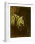 Head of a Drowned Man, C.1819-Theodore Gericault-Framed Giclee Print