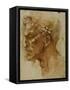 Head of a Faun-Michelangelo Buonarroti-Framed Stretched Canvas