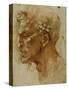 Head of a Faun-Michelangelo Buonarroti-Stretched Canvas