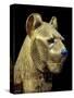 Head of a Funerary Couch in the Form of a Cheetah or Lion, Thebes, Egypt-Robert Harding-Stretched Canvas
